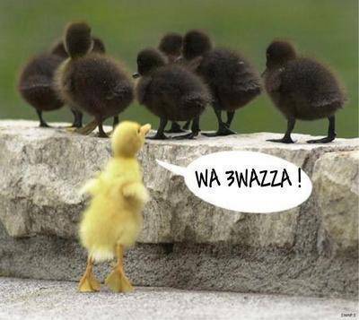 racisme